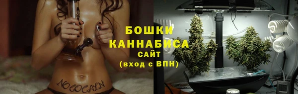 крисы Верхний Тагил