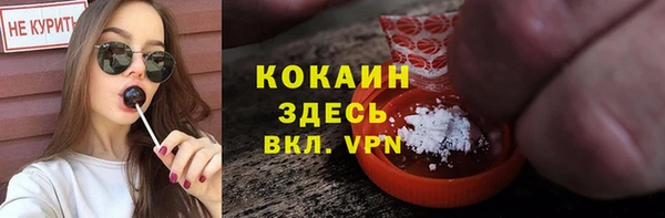 ГАЛЛЮЦИНОГЕННЫЕ ГРИБЫ Верея