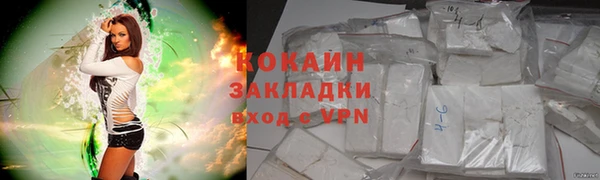 ГАЛЛЮЦИНОГЕННЫЕ ГРИБЫ Верея