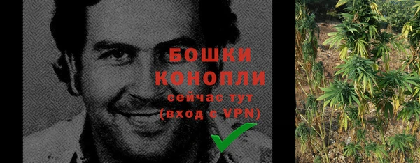 крисы Верхний Тагил