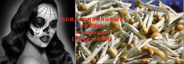 ГАЛЛЮЦИНОГЕННЫЕ ГРИБЫ Верея
