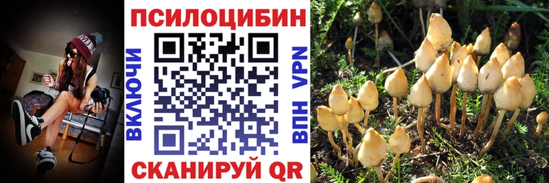 мега рабочий сайт Любань Псилоцибиновые грибы ЛСД